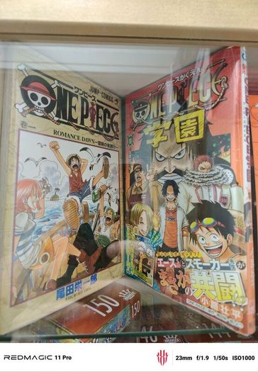 One Piece Manga bundle with rep devil fruit