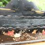 Antique Hand Painted Papier Victorian Mail Holder  Art 12" X 8" Image 9