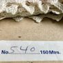Vintage Cream Cotton Lace Trim 150m Deadstock Hickeys Image 3