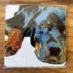 20 coasters