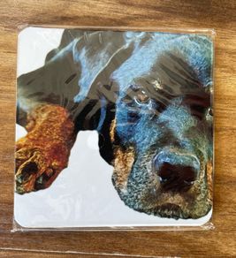 20 coasters