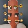 takamine EF508C VN Image 6
