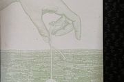 Shannondene Bridget Briar Book