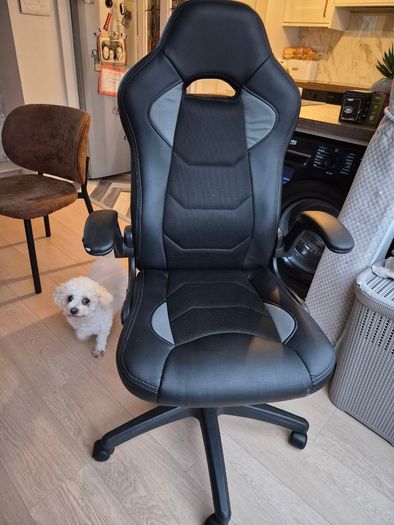 Gaming chair