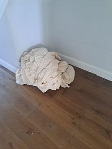 9x12 dust sheets