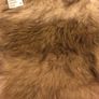 Ladies BNWT scarf Image 10