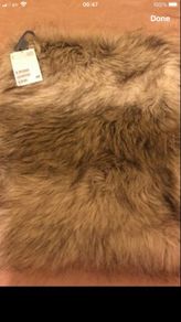 Ladies BNWT scarf