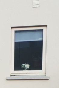 Munster Joinery Double Glazed Window 880mm x 1200mm