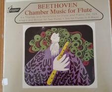 Beethoven Vinyl Record.