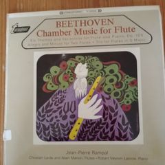 Beethoven Vinyl Record.