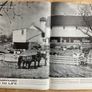 LIFE Magazine May 24, 1943 Image 3