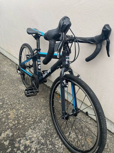 Kids 9spd Team Sky Edition Frog Racing Bike