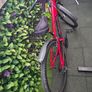 Ridgeback Bike Image 5