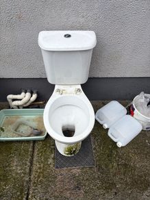 toilet