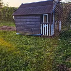 Chicken house