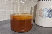 Organic Kombucha SCOBY