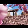 Plum slate boulders rocks chippings pebbles Image 5