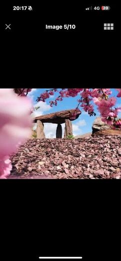 Plum slate boulders rocks chippings pebbles