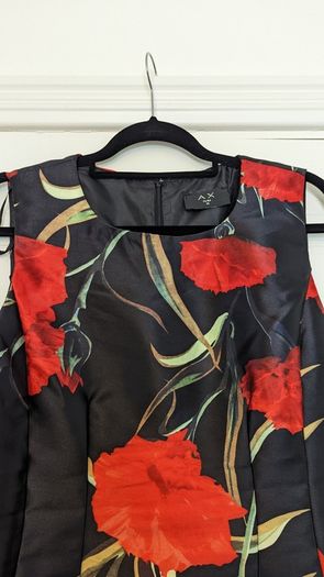 beautiful dress from AX of Paris.