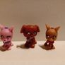 Polly Pocket Sparklin' Pets x 6 Image 4