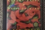 Robert Fripp &amp; David Sylvian: A New Dream (live)