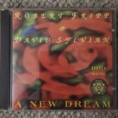 Robert Fripp & David Sylvian: A New Dream (live)