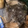 silver cross pop buggy, rain cover and footmuff Image 8