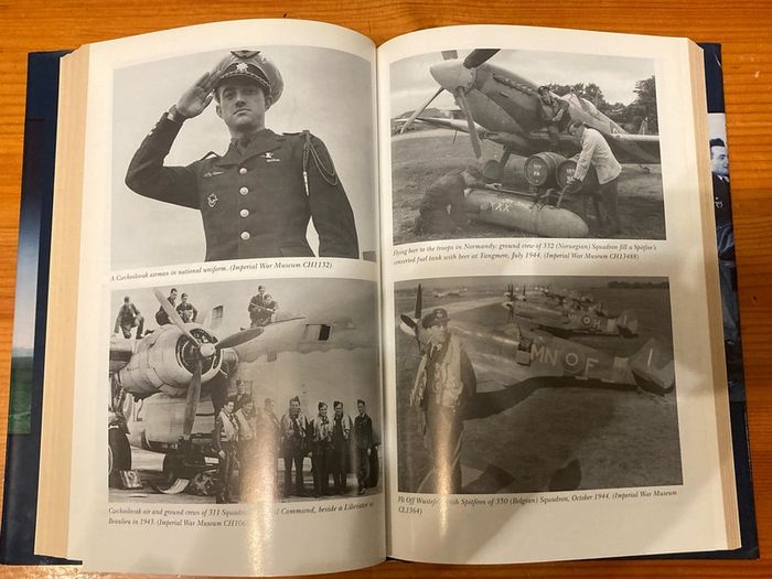 War book:'Airmen In Exile'