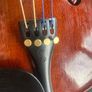 Beautiful Stentor Violin size 4/4 Image 5