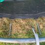 FREE trampoline Image 2