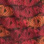 Robinson Les Bains Paris - Oxford Long Style (NWT) Image 7