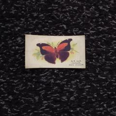 John Player and Sons Cigarette Transfer Card - Butterflies Series - 1932
