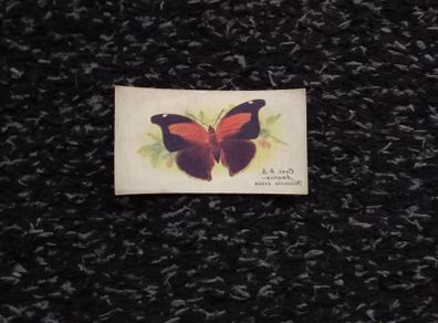 John Player and Sons Cigarette Transfer Card - Butterflies Series - 1932