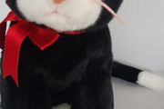 New collectable beanie buddies cat