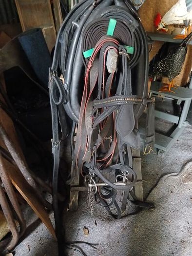 Vintage Pony Trap