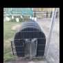 dog box Image 3