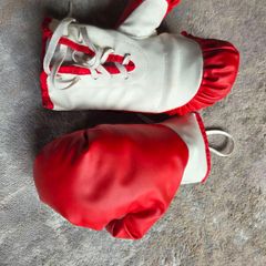 Free boxing gloves