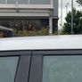 Thule Roofbox Image 2