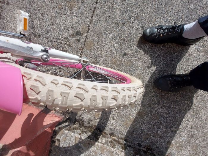 GIRLS BIKE (Sparkle) with Basket, 20 inch wheels, in excellent condition. See Pictures