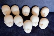 10 Doll heads
