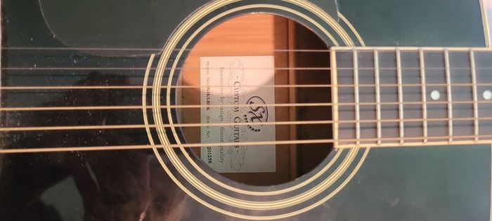 left hand guitar & case