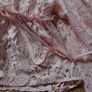 Peach Colour Top.  Size 12 Image 4
