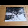 Deliverance 1972 Press Kit Material Image 7