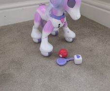 zoomer enchanted unicorn