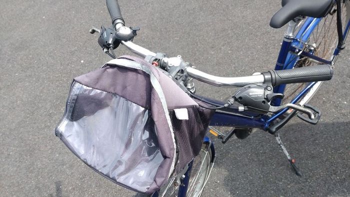 Raleigh Pioneer 1 ladies bike