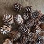 Christmas mini pinecones Image 4
