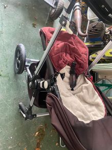 buggy for sale