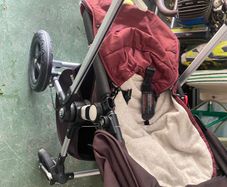 buggy for sale