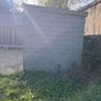 Shed 6x8ft Image 2