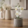 Artificial Orchid Plant, 30cm (Including Pot) Image 4